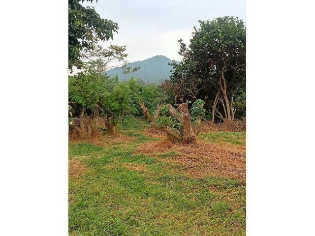 ขายที่ดินวิวเขาแปลงสวยรูปสี่เหลี่ยม349ตารางวา ใกล้อ่างเก็บน้ำ​ห้วย​ลาน แลนด์มาร์ค​ของ​อ.สันกำแพง​ ตั้งอยู่ที่ ต.ออนใต้