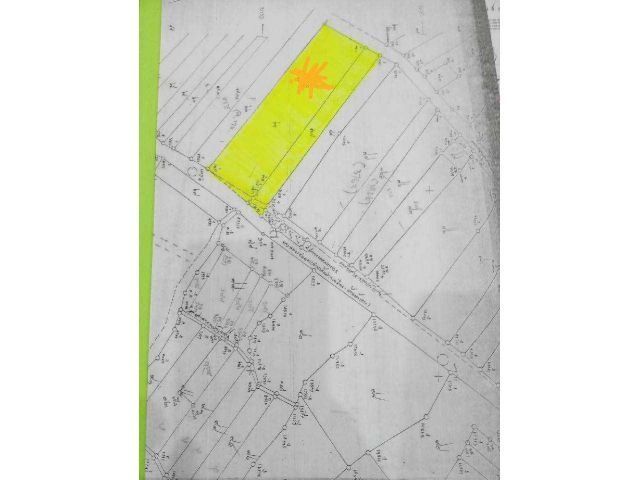 ขายด่วนที่นาปรับเรียบสวยๆ ติดคลองส่งน้ำ โฉนด 3 แปลง ติดถนนลาดยาง 48 ไร่เศษๆ ต.กุยเหนือ อ.กุยบุรี จ.ประจวบคีรีขันธ์ ขายไร