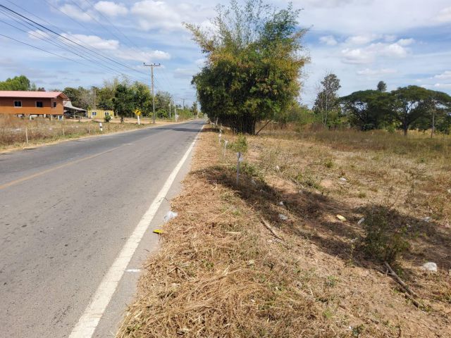 ขายที่ดิน 7 ไร่ ติดถนนดำ อ.น้ำพอง ห่างแยก ปตท.น้ำพอง 3 กม. 2.5 ลบ