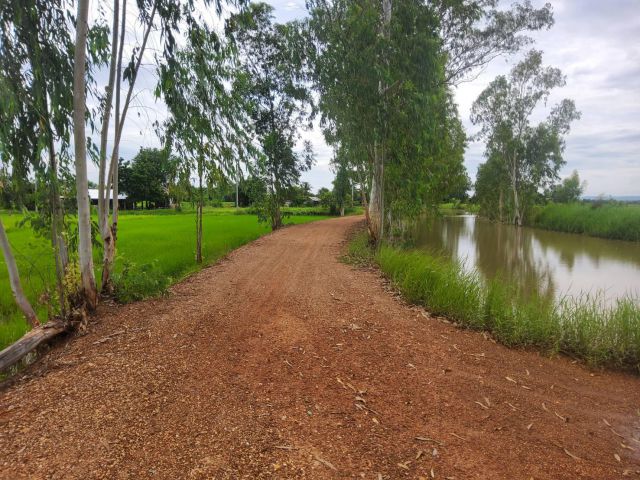 ที่นา สำหรับเป็น safe life  3 ไร่ 2 งานติดลำห้วย บ้านงิ้ว เมืองขอนแก่น ห่างเมือง 20 กม