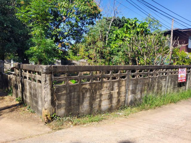 ขายที่ดิน 90 ตรว.หลังตลาดต้นตาล อ.เมือง ขอนแก่น แสน
