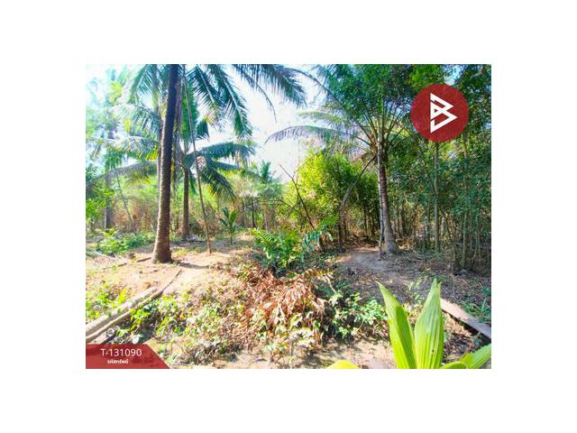 ขายที่ดิน เนื้อที่ 1 ไร่ 2 งาน 48 ตร.วา นางตะเคียน สมุทรสงคราม