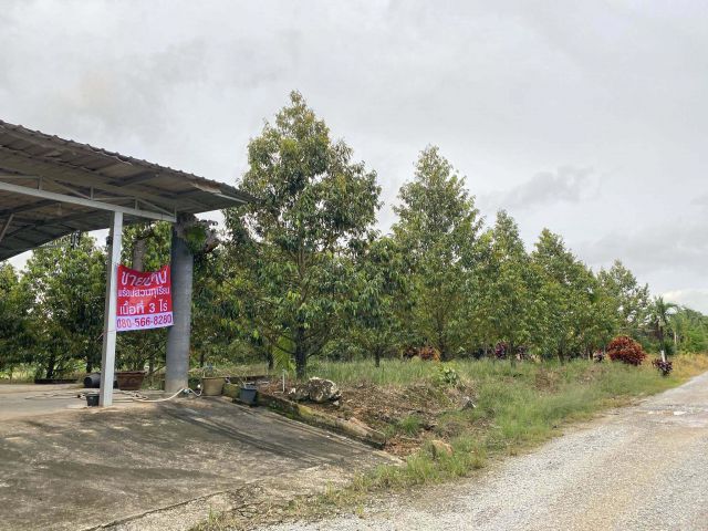 ขายบ้านพร้อมสวนทุเรียน