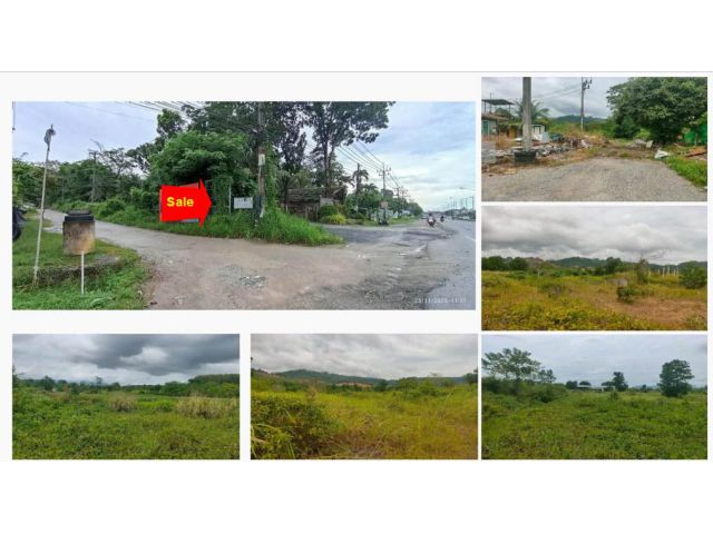 | SALE !! ขายที่ดินถลางใกล้ถนนป่าคลอก-ท่าเรือ-เมืองใหม่  เนื้อที่ 49.5 ไร่ ขายเหมา 205.12 ล้าน