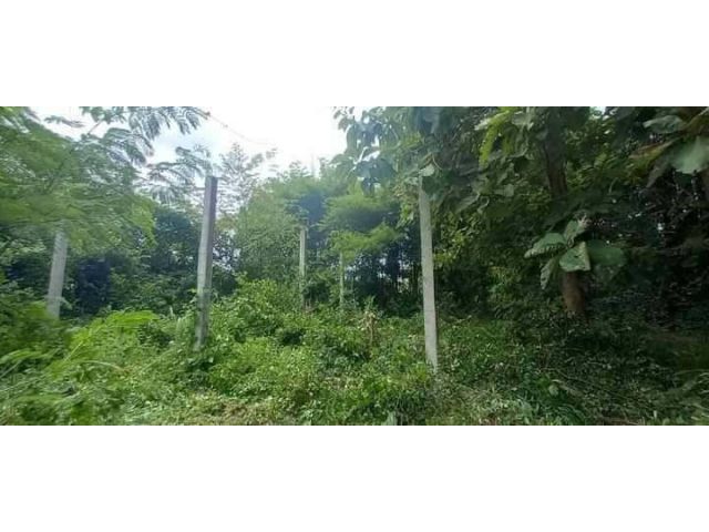 L1467 ขายที่ดินทำเลดี 206 ตรว กบินทร์บุรี ปราจีนบุรี