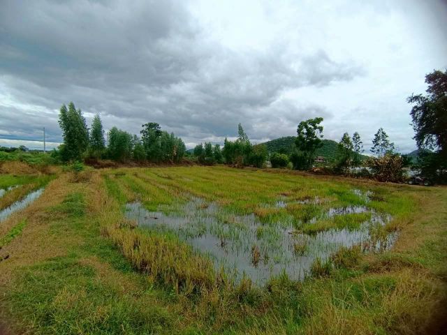 ขายที่ดินเปล่า 349 ตร.ว. - ทำเลดี ติดถนนสาธารณะ น้ำ-ไฟพร้อม ต.เขาสามสิบหาบ อ.ท่ามะกา จ.กาญจนบุรี
