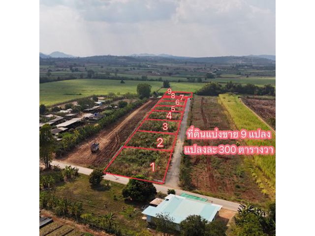 ที่ดินแบ่งขาย เขาใหญ่ แปลงละ 300 ตารางวา