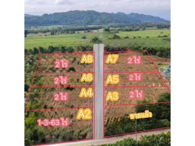 ที่ดินแบ่งขายเขาใหญ่ แปลงละ 2 ไร่