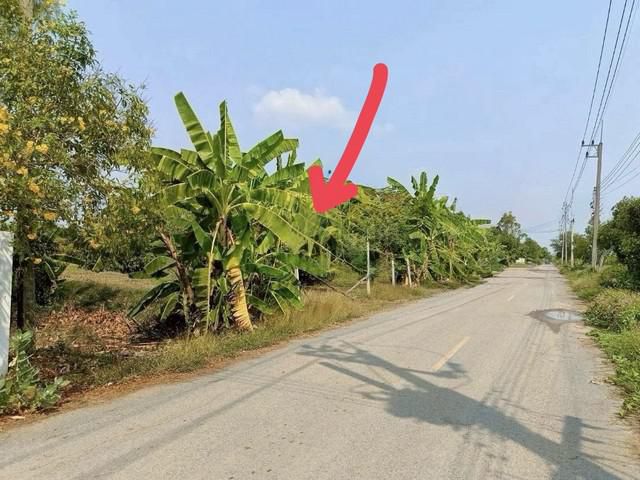 ขายถูกที่ดิน 3-3-27 ไร่ ผังสีชมพู ถ.รังสิต-นครนายก คลอง8 หนองเสือ เหมาะสร้างบ้าน โกดัง