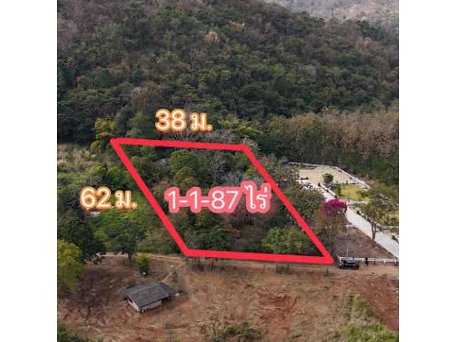 ขายบ้านพร้อมที่ดิน 1-1-87 ไร่ หนองน้ำแดง เขาใหญ่