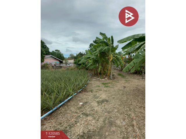 ขายที่ดิน เนื้อที่ 1 ไร่ 3 งาน 26 ตารางวา ห้วยใหญ่ บางละมุง ชลบุรี