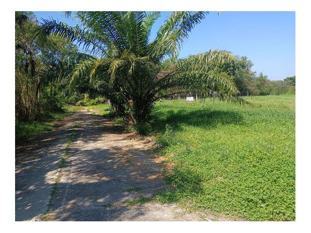 ขายที่ดินแปลงสวย 320 ตรว หมู่บ้านกฤษดานคร 25 ซอยประชาร่วมใจ 31 ทรายกองดิน มีนบุรี