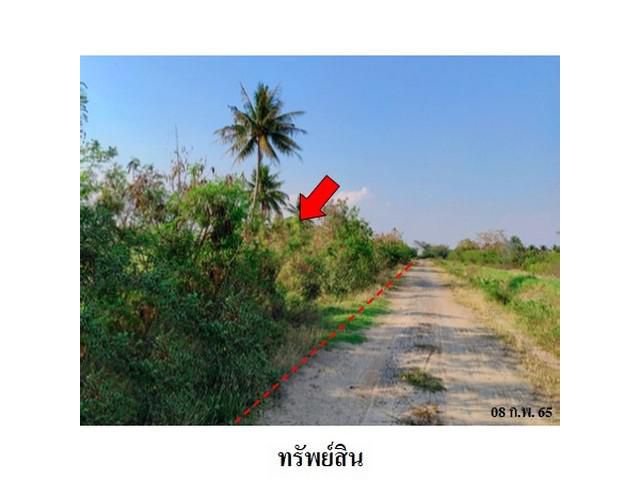 ขายที่ดินว่างเปล่า ต.หมื่นไวย อำเภอ เมืองนครราชสีมา จังหวัด นครรา