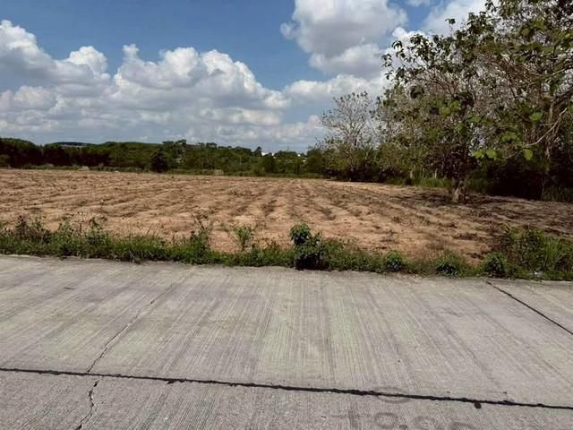 ขายที่ดินแปลงสวย ทำเลงาม โซนปลวกแดง จังหวัดระยอง