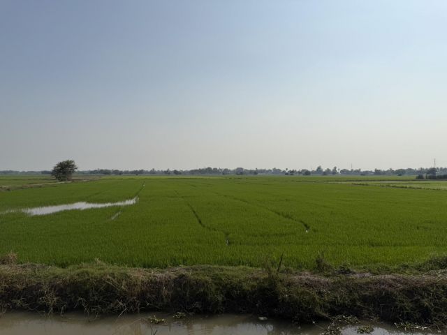 ขาย!! ที่ดินปลูกบ้านได้ มีไฟฟ้าน้ำประปา มีเพื่อนบ้าน แบ่งเป็นแปลงๆราคาถูกมาก