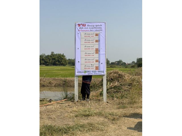 ขาย!! ที่ดินปลูกบ้านได้ มีไฟฟ้าน้ำประปา มีเพื่อนบ้าน แบ่งเป็นแปลงๆราคาถูกมาก