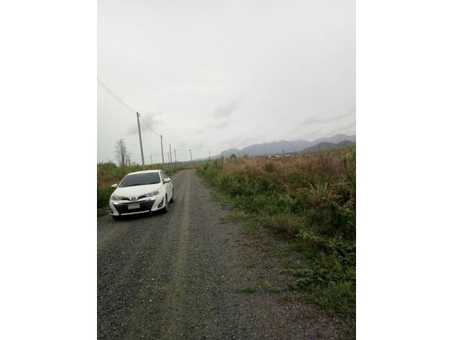 ขายที่ดิน1ไร่