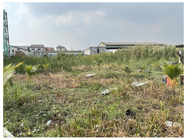 ที่ดินเปล่า 380 ตรว.ซอยเฉลิมพระเกียรติ 28 แปลงสวย อยู่ตรงข้ามบ้านสวนลลนา หลังซีเจมอร์