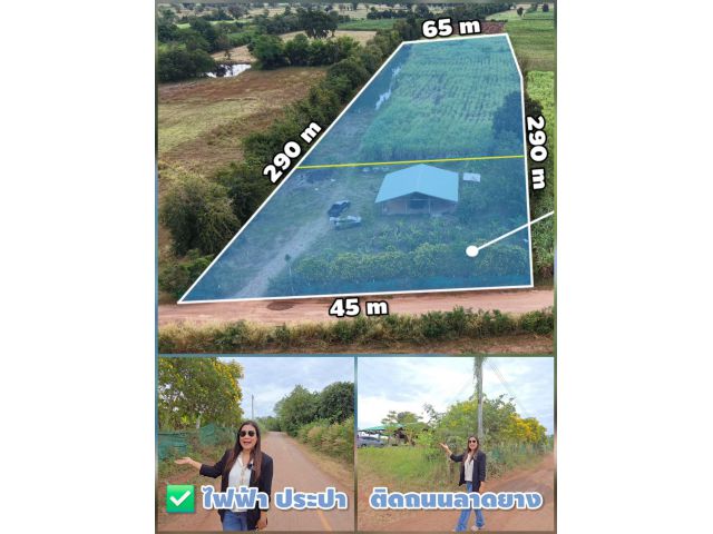 ขายที่ดินโฉนด ไร่ละ 250,000 ติดถนนลาดยางมีไฟฟ้าประปา หน้ากว้างติดถนน45ม. โนนไทย โคราช