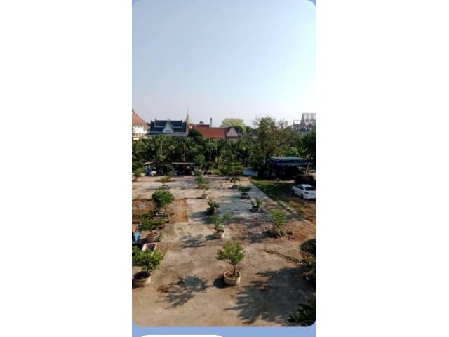 ขายที่ดิน 5 ไร่เศษ ติดถนนเพชรเกษมขาออกจาก กทม. เขตหนองแขม สนใจติดต่อ 0816272714