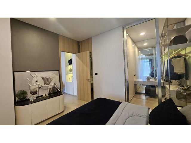 Siamese 42 clean safe nice