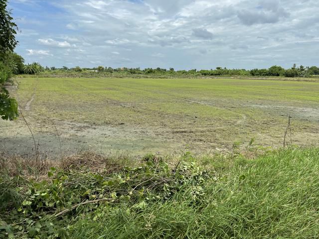 ขายที่ดิน 23 -1- 12 ไร่ ดอนตูม นครปฐม