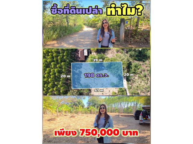 คุ้มกว่าซื้อที่เปล่า ขายที่ดินครบุรี 198 ตร.ว. แถมโครงสร้างบ้าน+รั้ว+ถมแล้ว เพียง 7.5 แสน