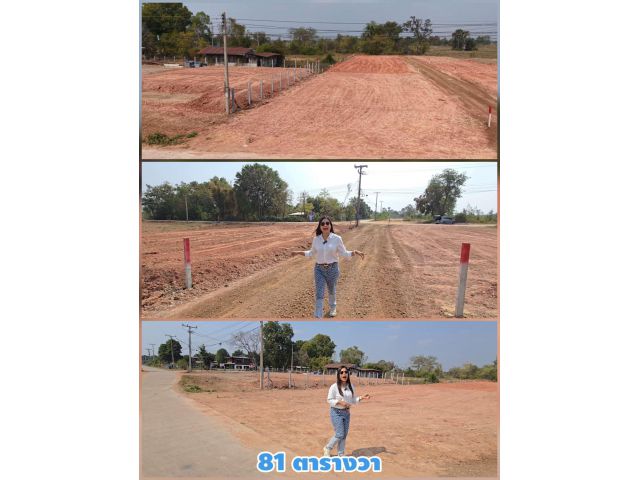 ที่ดินโฉนดใกล้โคราช เริ่มแค่ 195,000 บาท! ถนนคอนกรีต–น้ำไฟครบ พร้อมพาเดินดูทุกแปลง