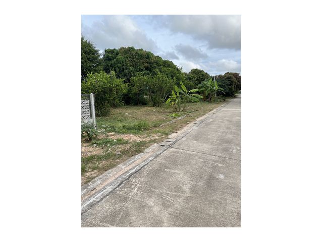 ขายที่ดิน ม.1 ต.เชิงเนิน เนื้อที่ 31 ตรว.