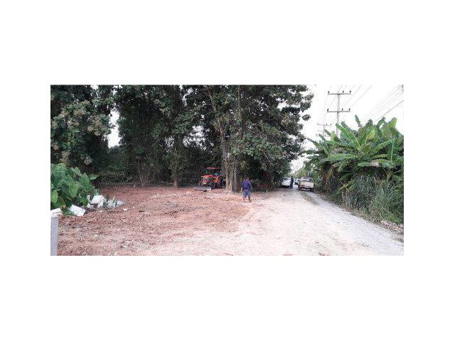 ขายที่ดิน 100 ตรว. ใกล้โลตัสพิษนุโลก ต.วัดจันทร์ตะวันตก อ.เมือง จ.พิษณุโลก