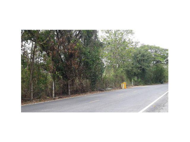 ขายที่ดิน 5 ไร่ ถมแล้ว ติดแม่น้ำแควใหญ่ ต.ลาดหญ้า อ.เมืองกาญจนบุรี จ.กาญจนบุรี