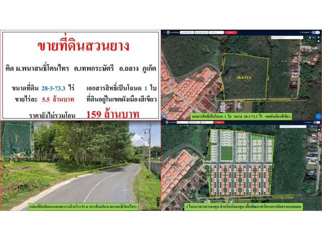 ขายที่ดินสวนยาง ขนาด 28-3-73.3 ไร่  ติดหมู่บ้านพนาสนธิ์โตนไทร  ต.เทพกระษัตรี  อ.ถลาง  ภูเก็ต