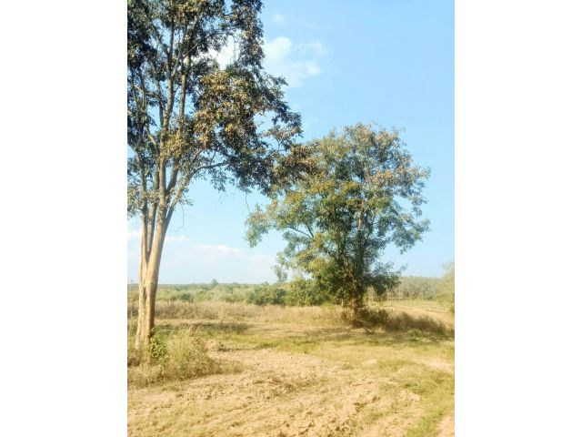 ที่ดินถูก ด่วนๆ ร้อนเงิน อ.เวียงสา น่าน