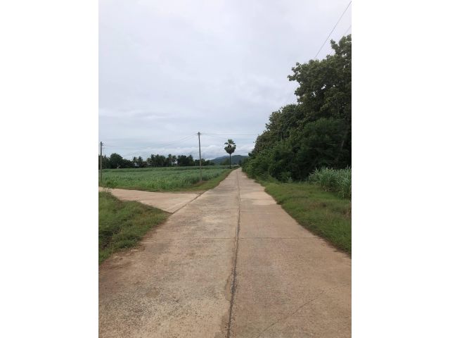 ไร่ละ1แสน ขายที่ดิน 107ไร่ จ.ลพบุรี