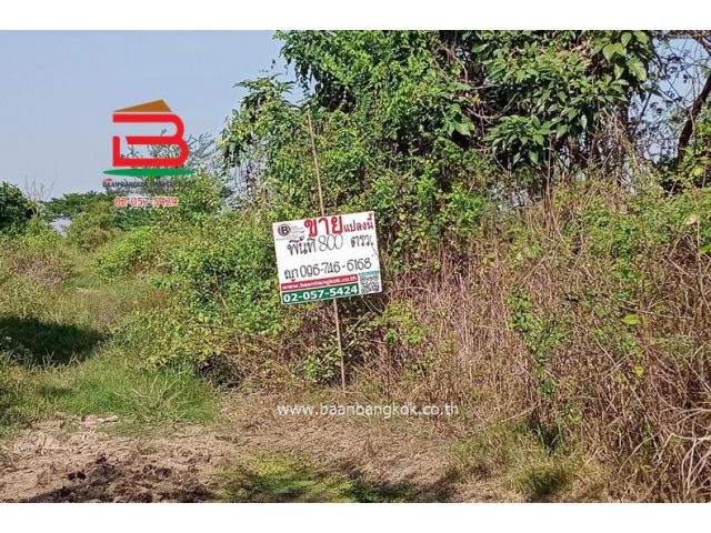 ที่ดินเปล่า(ยังไม่ถม) ซอยบ้านจิตธรรมดี-ลาดบัวหลวง (ตรงข้ามสวนอินทผาลัม) เนื้อที่ 2 ไร่ 800 ตรว. ถนนสายเอเชีย