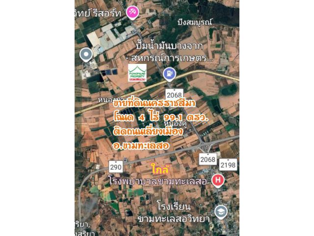 ขายที่ดินนครราชสีมา 4 ไร่ 99.1 ตรว.ติดถนนเลี่ยงเมือง