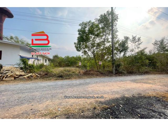 ที่ดินเปล่า เนื้อที่ 57 ตร.ว. ซอยอยู่รวยแลนด์ ถนนรังสิต-นครนายก ตำบลหนองสามวัง อำเภอหนองเสือ ปทุมธานี