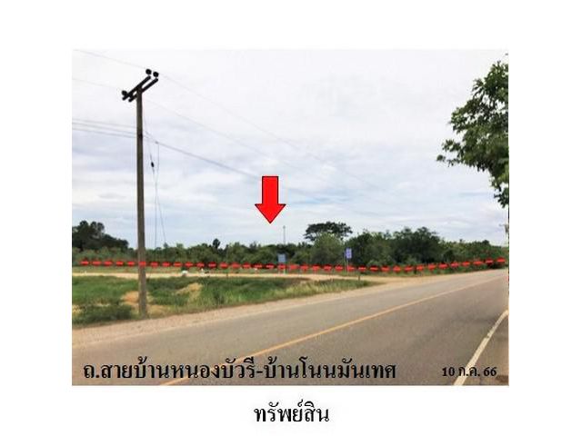ขายที่ดินว่างเปล่า ต.ท่าช้าง อ.เฉลิมพระเกียรติ จังหวัด นครราชสีมา