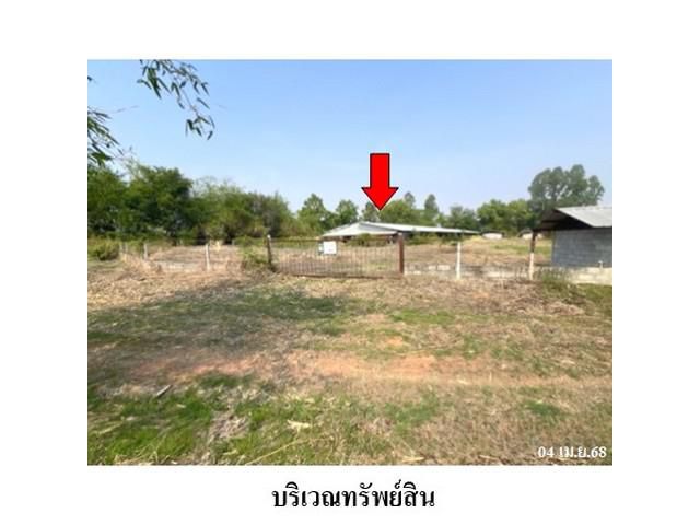 ขายฟาร์มเลี้ยงสัตว์ ต.หนองสรวง อำเภอ ขามทะเลสอ จังหวัด นครราชสีมา