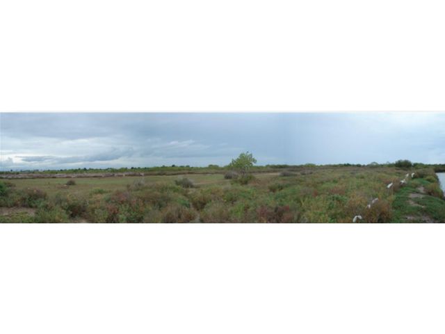 ขายที่ดินเปล่า แหลมผักเบี้ย ใกล้หาดเจ้าสำราญ