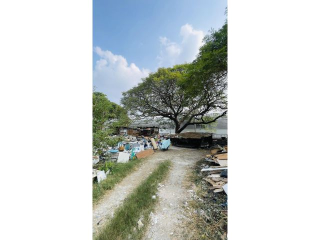 ขายที่ดินอ่อนนุช 46