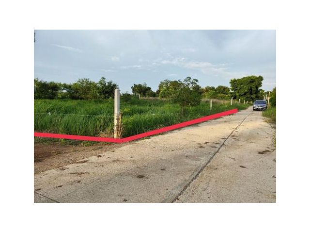 ขายที่ดินโฉนด 2 งาน ต.บึงสามพัน อ.บึงสามพัน จ.เพชรบูรณ์