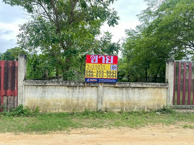 ขายที่ดิน  2-0-50 ไร่  ซอยทุ่งกลม-ตาลหมัน  ห้วยใหญ่  ชลบุรี