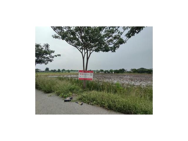 ขายถูก ที่ดิน ตรงข้ามอนามัยบางเลน สองพี่น้อง ขนาด 4-3-5 ไร่ ซอยตรงข้ามวัดใหม่พิบูลย์ผล