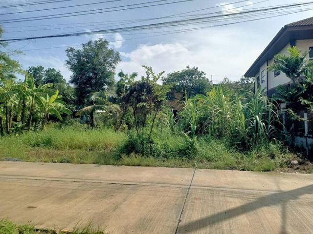 ขายที่ดินไม่มีสิ่งปลูกสร้างที่เคยถมดินแล้วครั้งนึงในเขตหนองจอก ซอยเลียบวาลี 13 ขนาด 99 ตรว. โฉนดครุฑแดง เข้าซอยเลียบวาลี