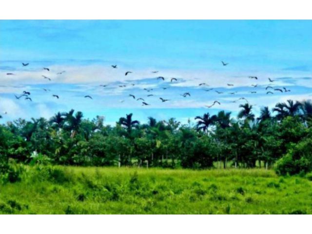 ขายที่ดิน ทำเลบ้านจัดสรร บ้านสวน อากาศดี ใกล้ 4 เลน