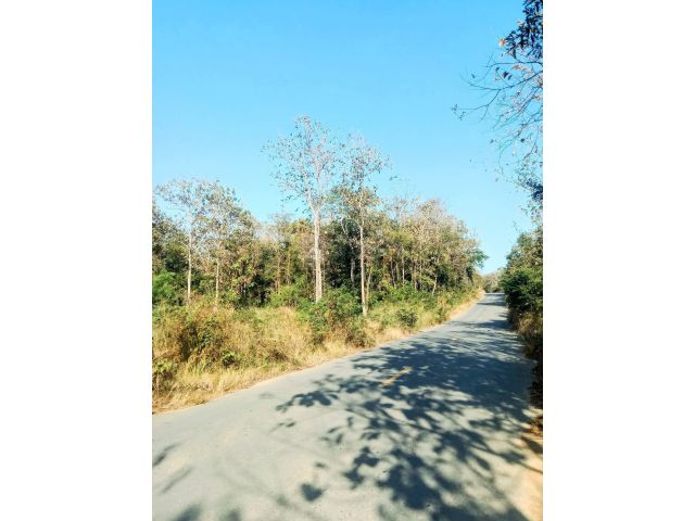 ที่ดินทำเลดี ติดถนนลาดยาง ทางผ่านเข้าหมู่บ้าน ขายถูก อุตรดิตถ์