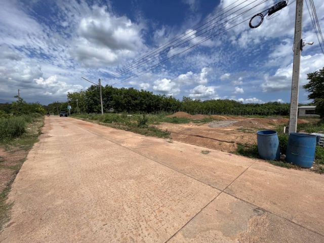 ขายที่ดินเนื้อที่2ไร่1งาน84ตารางวา หน้ากว้างติดถนนคอนกรีต60เมตร ที่เสมอถนนไม่ต้องถมน้ำไม่ท่วม ไฟฟ้าน้ำประปาพร้อม