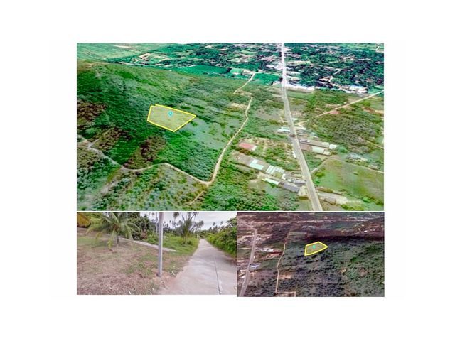 ด่วน! ลงทุนก่อนโลกเปลี่ยน! ที่ดิน 5ไร่ วิวทะเลพาโนรามา สมุย! ตำแหน่งทองคำรอรับ "สะพานเชื่อมสมุย" ราคาพุ่งแน่ รีบซื้อวันน