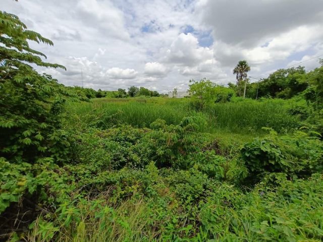 ที่ดินสุพรรณบุรี ทำเลใจกลางเมือง ต่อรองราคาได้สนใจติดต่อ 099-545-9556